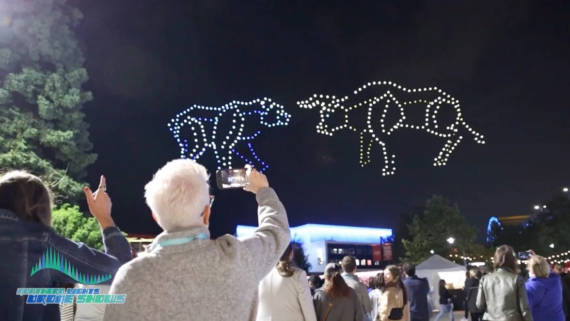 Drone Shows as Signature Park Attractions: Insights from the 'Masterminds' at Northern Lights